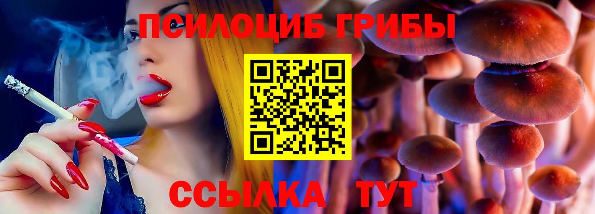 Галлюциногенные грибы Psilocybe Копейск